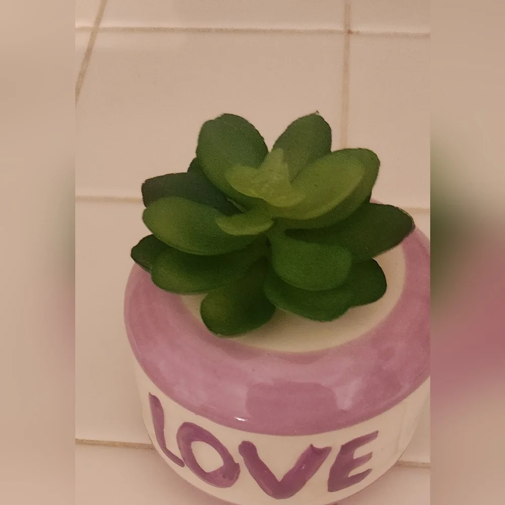 Bloom & Love Ceramic Planters with Succulents